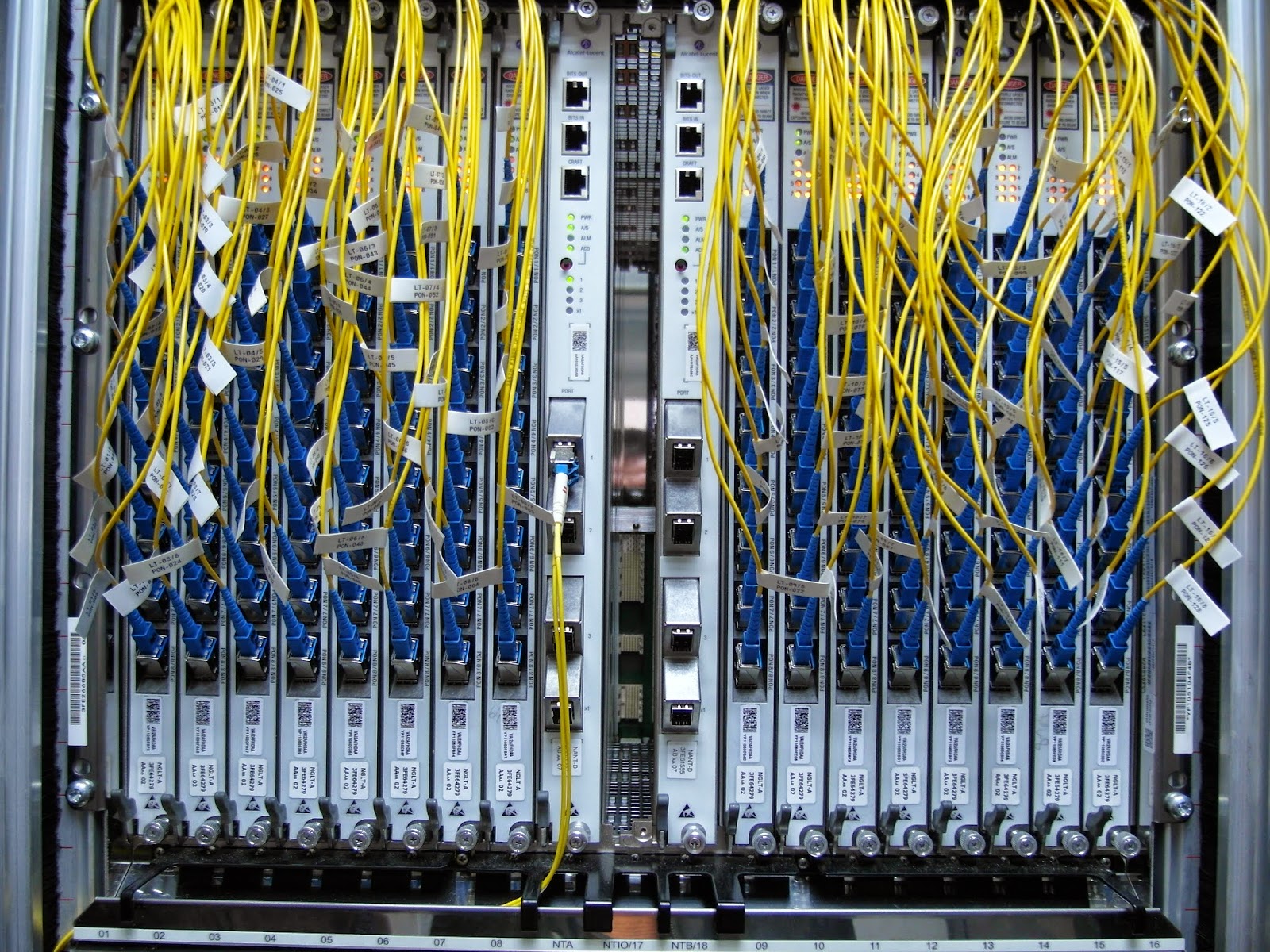 An Optical Line Terminal (OLT).